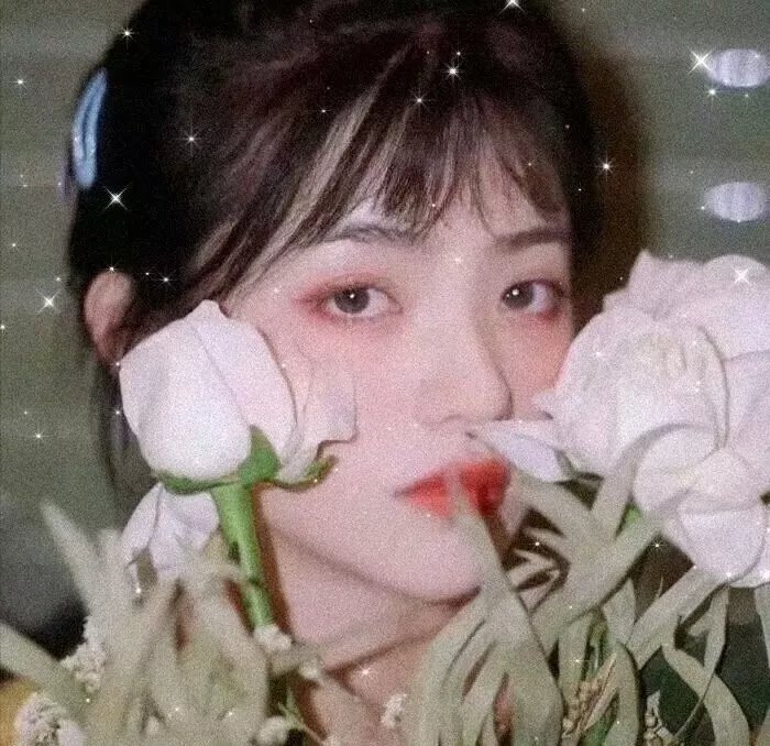 九尾狐与仙鹤